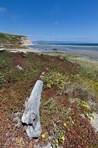 129 Point Reyes National Seashore, Drakes Beach.jpg